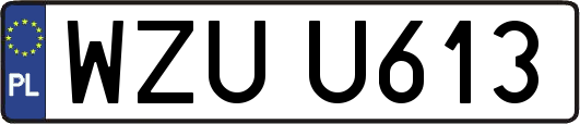 WZUU613