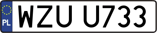 WZUU733