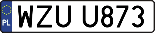 WZUU873