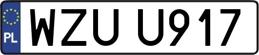 WZUU917