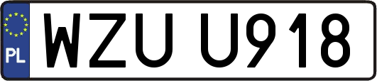 WZUU918
