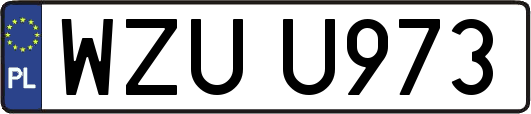 WZUU973