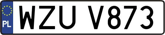 WZUV873