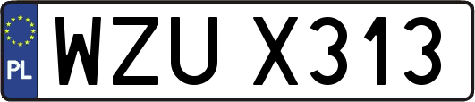 WZUX313