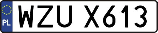 WZUX613