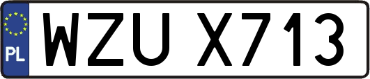 WZUX713