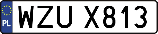 WZUX813