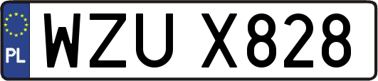 WZUX828