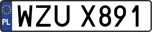 WZUX891