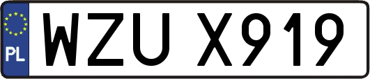 WZUX919
