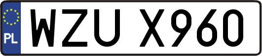 WZUX960