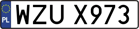 WZUX973