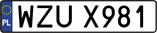 WZUX981