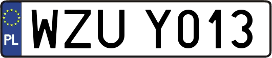 WZUY013