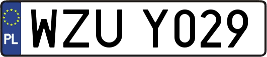 WZUY029