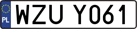 WZUY061