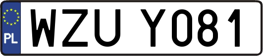 WZUY081