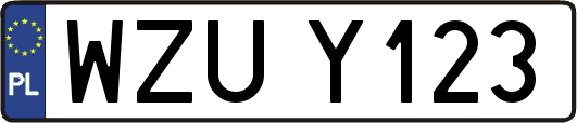 WZUY123