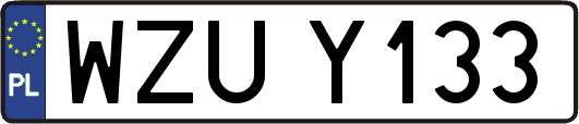 WZUY133