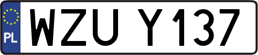 WZUY137