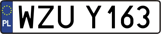 WZUY163