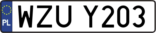 WZUY203