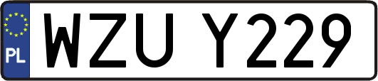 WZUY229