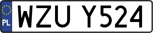 WZUY524