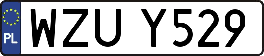 WZUY529