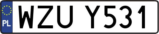 WZUY531