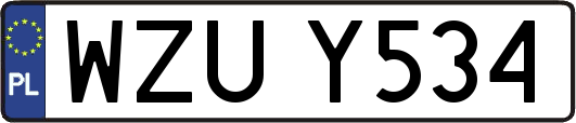 WZUY534