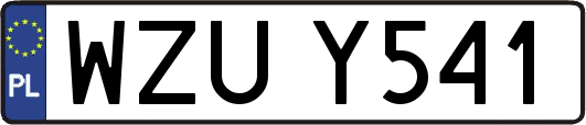 WZUY541