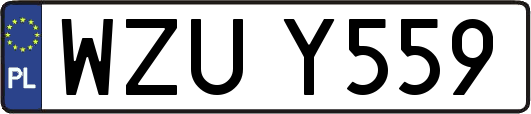 WZUY559