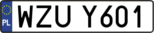 WZUY601