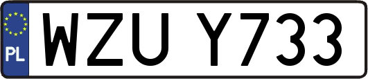 WZUY733