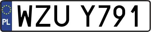 WZUY791