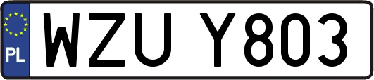 WZUY803