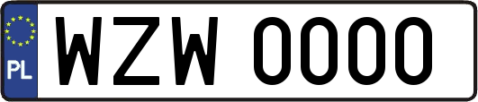 WZW0000