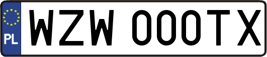 WZW000TX