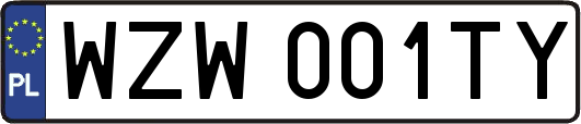 WZW001TY