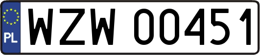 WZW00451