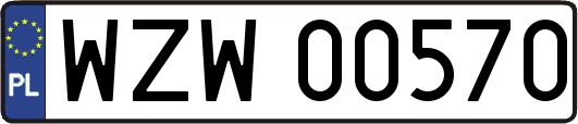 WZW00570