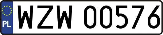 WZW00576