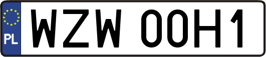WZW00H1