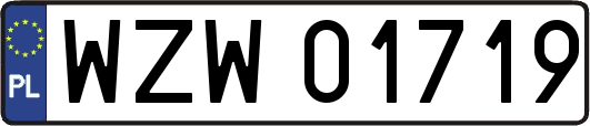 WZW01719