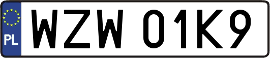 WZW01K9