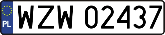 WZW02437