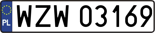 WZW03169