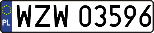 WZW03596