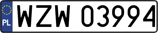 WZW03994